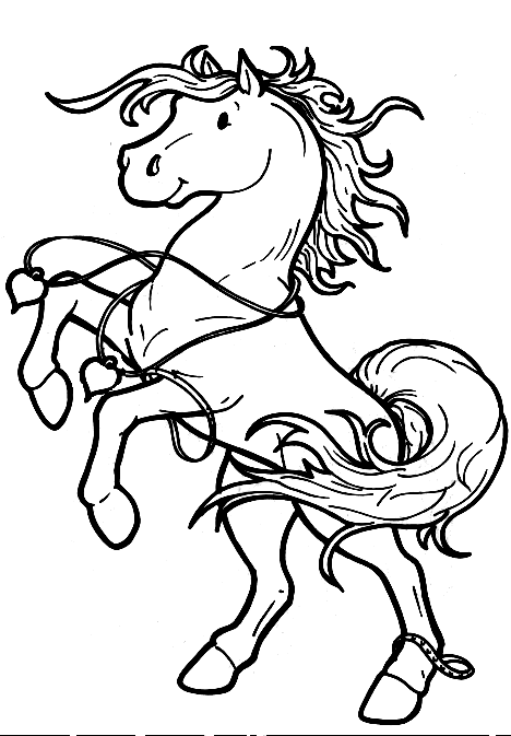 coloriage cheval cabre